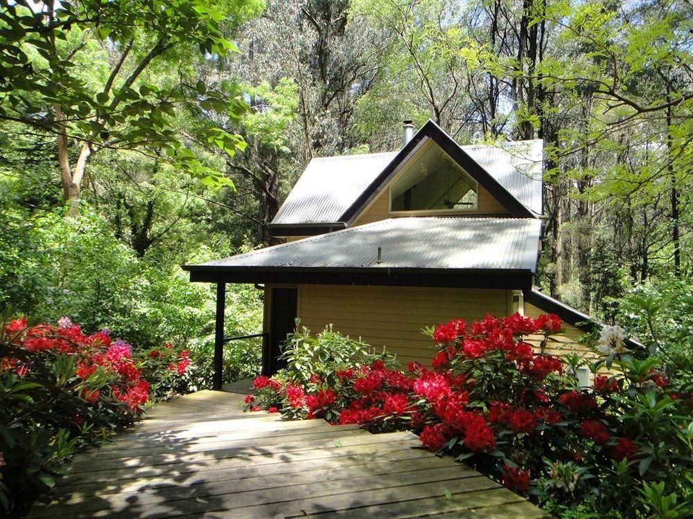 Lochiel Luxury Accommodation Олинда Экстерьер фото