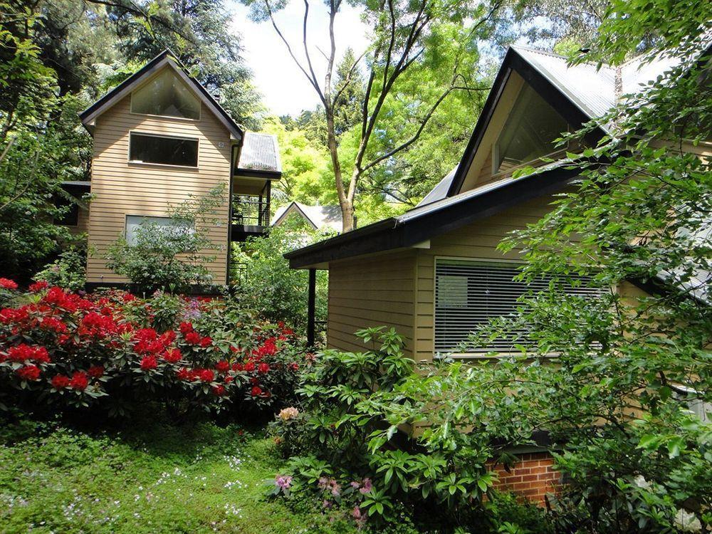 Lochiel Luxury Accommodation Олинда Экстерьер фото