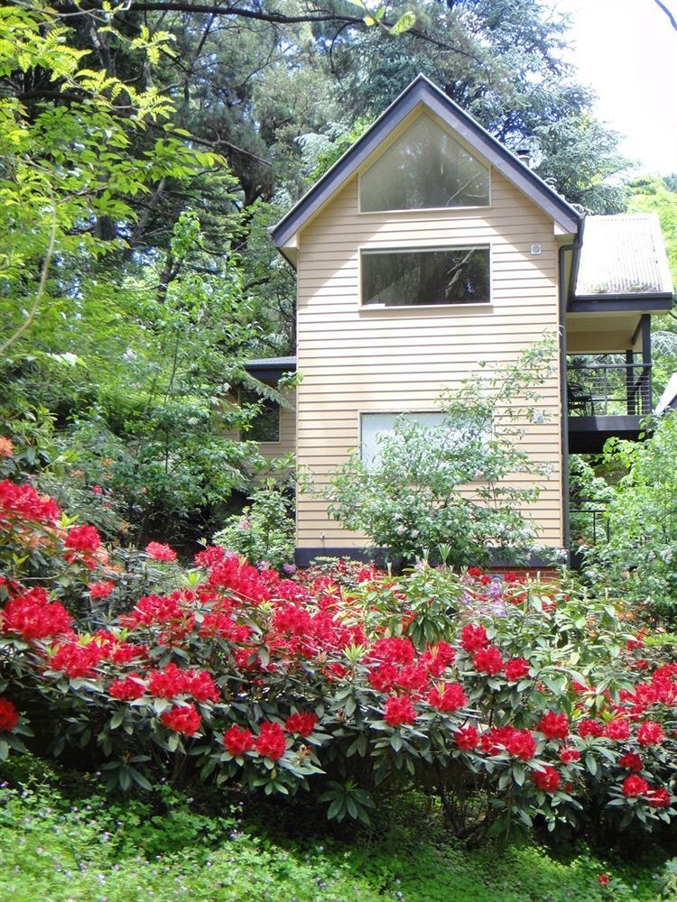 Lochiel Luxury Accommodation Олинда Экстерьер фото