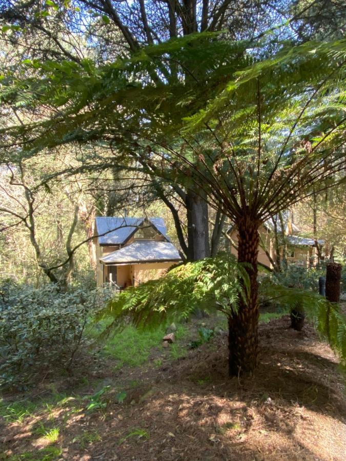 Lochiel Luxury Accommodation Олинда Экстерьер фото